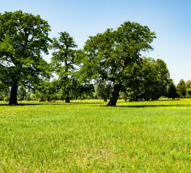 Scenic property representing land loan opportunities available through Guardian Credit Union for future homebuyers