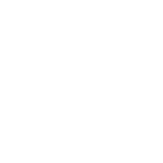 Phone icon white