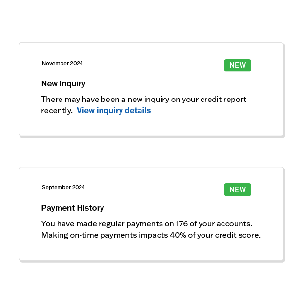 Credit score tool showing alerts for new inquiries and payment history to support fraud protection